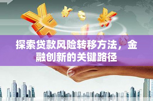 望奎探索贷款风险转移方法，金融创新的关键路径