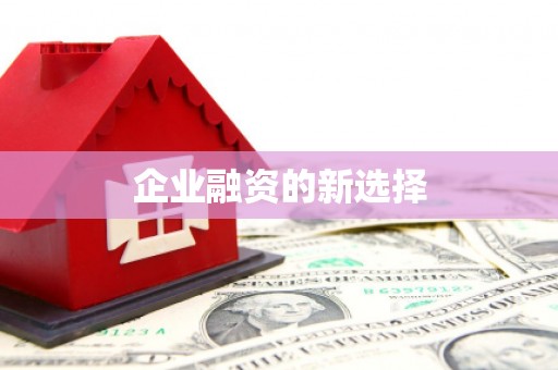 望奎企业融资的新选择