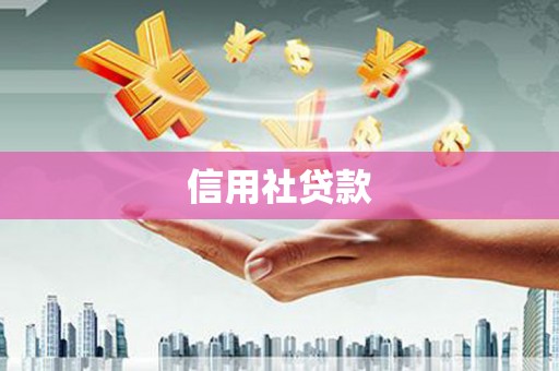 望奎信用社贷款