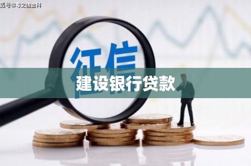 望奎建设银行贷款