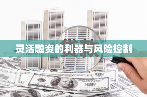 望奎灵活融资的利器与风险控制