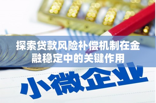 望奎探索贷款风险补偿机制在金融稳定中的关键作用