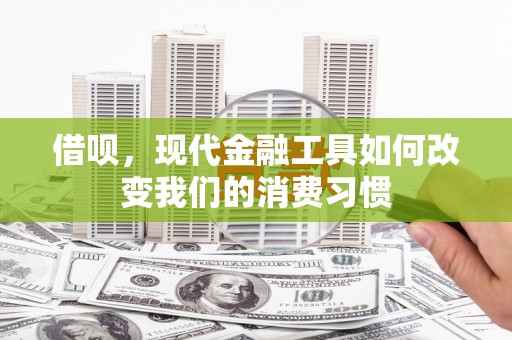 望奎借呗，现代金融工具如何改变我们的消费习惯