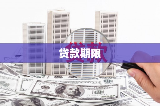 望奎贷款期限