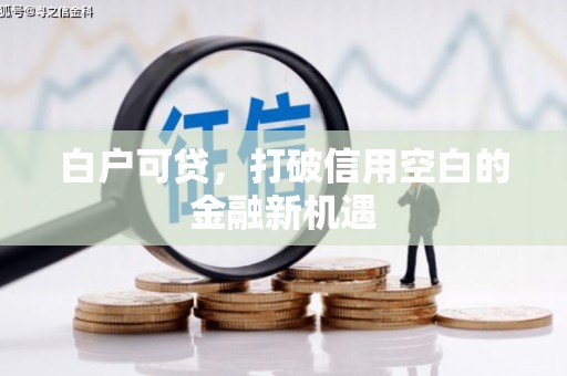 望奎白户可贷，打破信用空白的金融新机遇