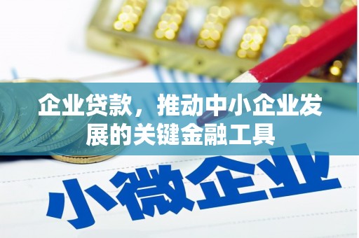 望奎企业贷款，推动中小企业发展的关键金融工具