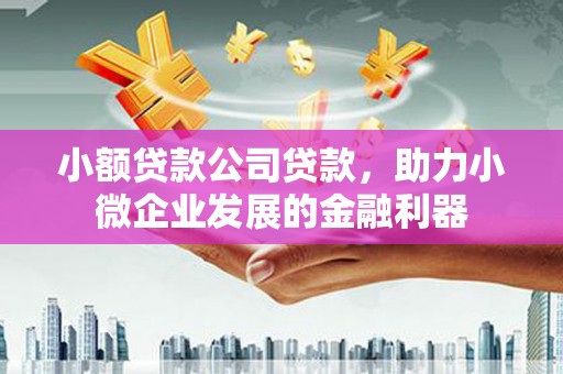 望奎小额贷款公司贷款，助力小微企业发展的金融利器