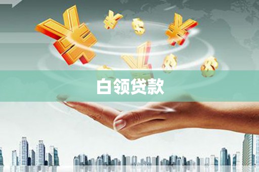望奎白领贷款