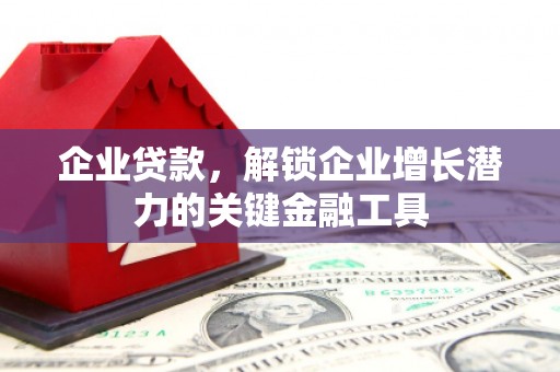 望奎企业贷款，解锁企业增长潜力的关键金融工具