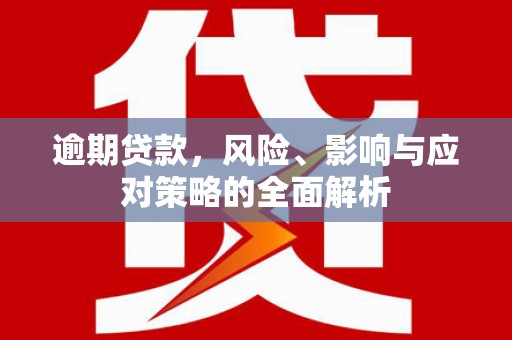 望奎逾期贷款，风险、影响与应对策略的全面解析