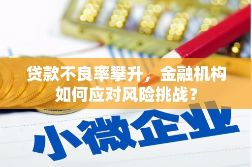望奎贷款不良率攀升，金融机构如何应对风险挑战？