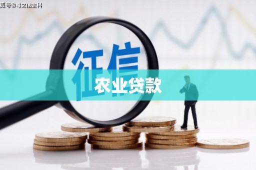 望奎农业贷款