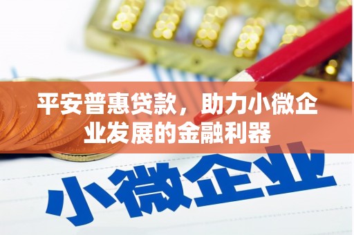 望奎平安普惠贷款，助力小微企业发展的金融利器