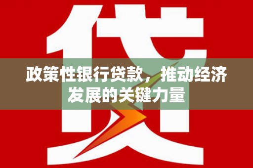 望奎政策性银行贷款，推动经济发展的关键力量
