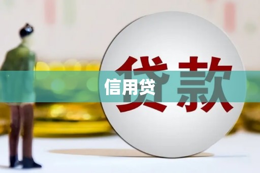望奎信用贷