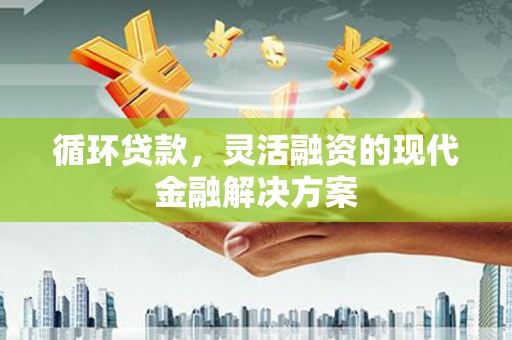 望奎循环贷款，灵活融资的现代金融解决方案