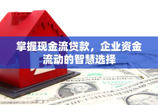 望奎掌握现金流贷款，企业资金流动的智慧选择