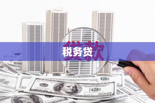 望奎税务贷