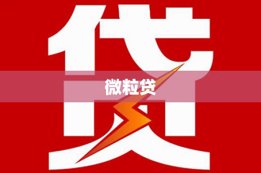 望奎微粒贷