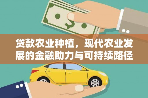 望奎贷款农业种植，现代农业发展的金融助力与可持续路径