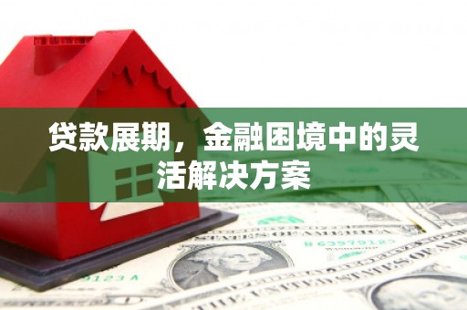 望奎贷款展期，金融困境中的灵活解决方案