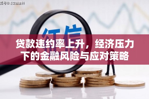 望奎贷款违约率上升，经济压力下的金融风险与应对策略