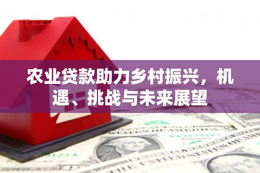 望奎农业贷款助力乡村振兴，机遇、挑战与未来展望