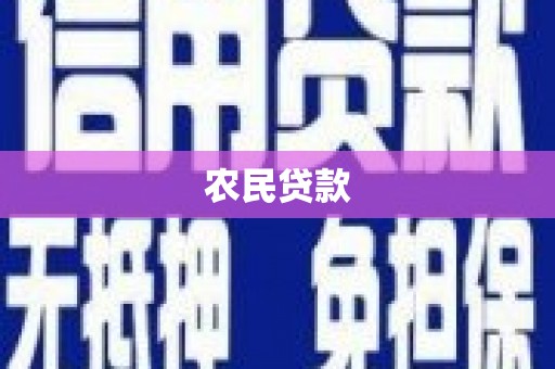 望奎农民贷款
