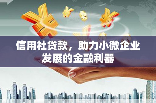 望奎信用社贷款，助力小微企业发展的金融利器