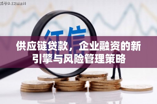 望奎供应链贷款，企业融资的新引擎与风险管理策略