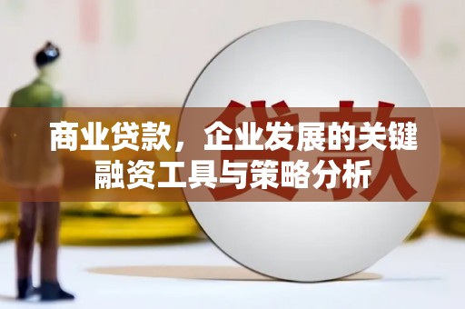 望奎商业贷款，企业发展的关键融资工具与策略分析