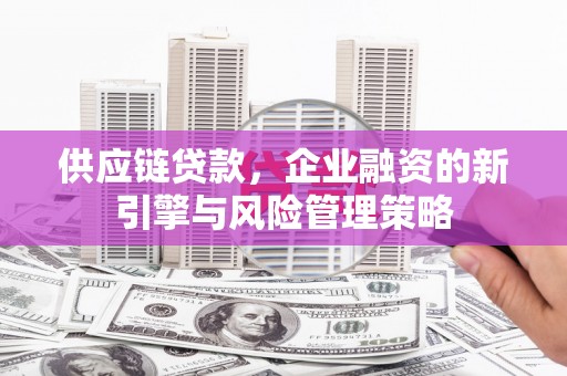 望奎供应链贷款，企业融资的新引擎与风险管理策略