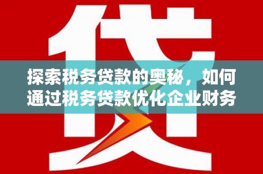 望奎探索税务贷款的奥秘，如何通过税务贷款优化企业财务