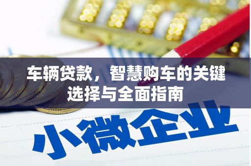 望奎车辆贷款，智慧购车的关键选择与全面指南