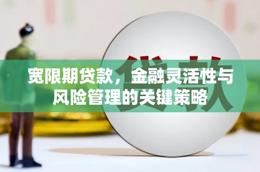 望奎宽限期贷款，金融灵活性与风险管理的关键策略