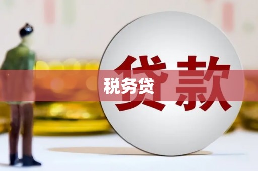 望奎税务贷