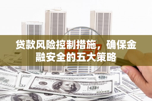 望奎贷款风险控制措施，确保金融安全的五大策略