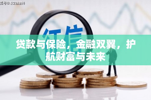望奎贷款与保险，金融双翼，护航财富与未来