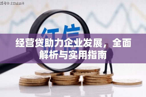 望奎经营贷助力企业发展，全面解析与实用指南