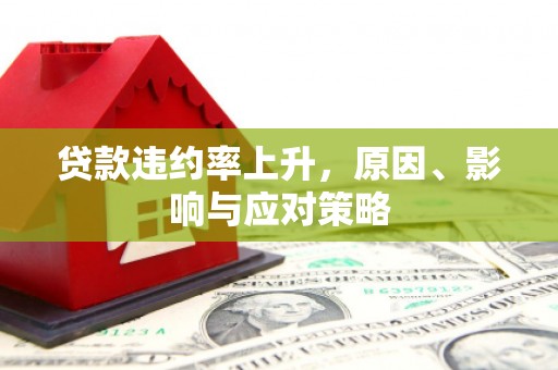望奎贷款违约率上升，原因、影响与应对策略