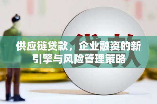 望奎供应链贷款，企业融资的新引擎与风险管理策略