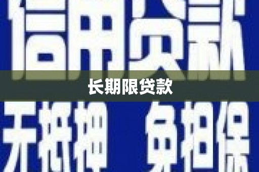 望奎长期限贷款
