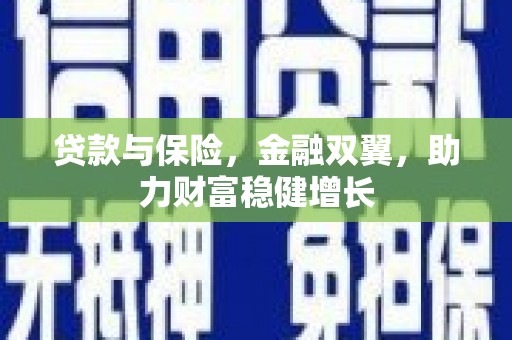 望奎贷款与保险，金融双翼，助力财富稳健增长