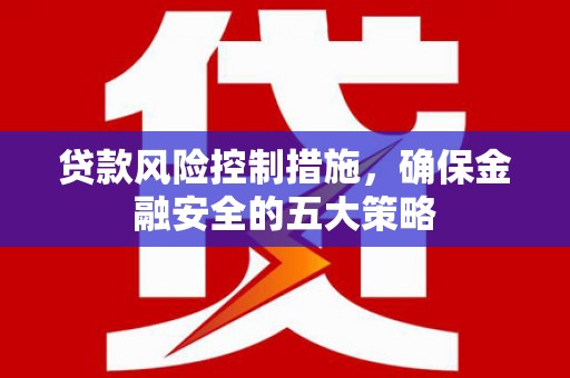 望奎贷款风险控制措施，确保金融安全的五大策略
