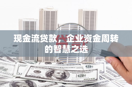 望奎现金流贷款，企业资金周转的智慧之选