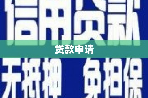 望奎贷款申请