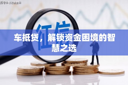 望奎车抵贷，解锁资金困境的智慧之选