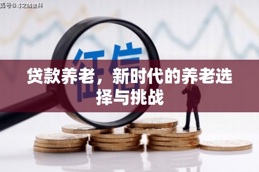 望奎贷款养老，新时代的养老选择与挑战