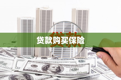 望奎贷款购买保险