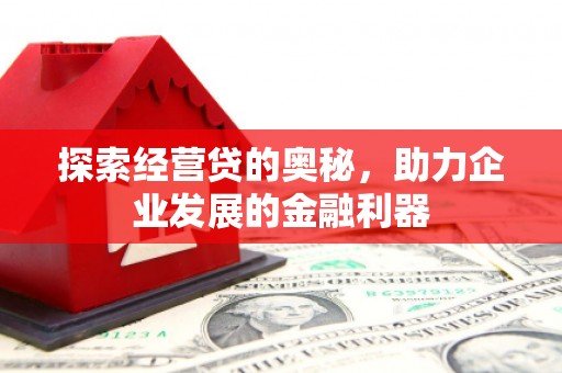 望奎探索经营贷的奥秘，助力企业发展的金融利器